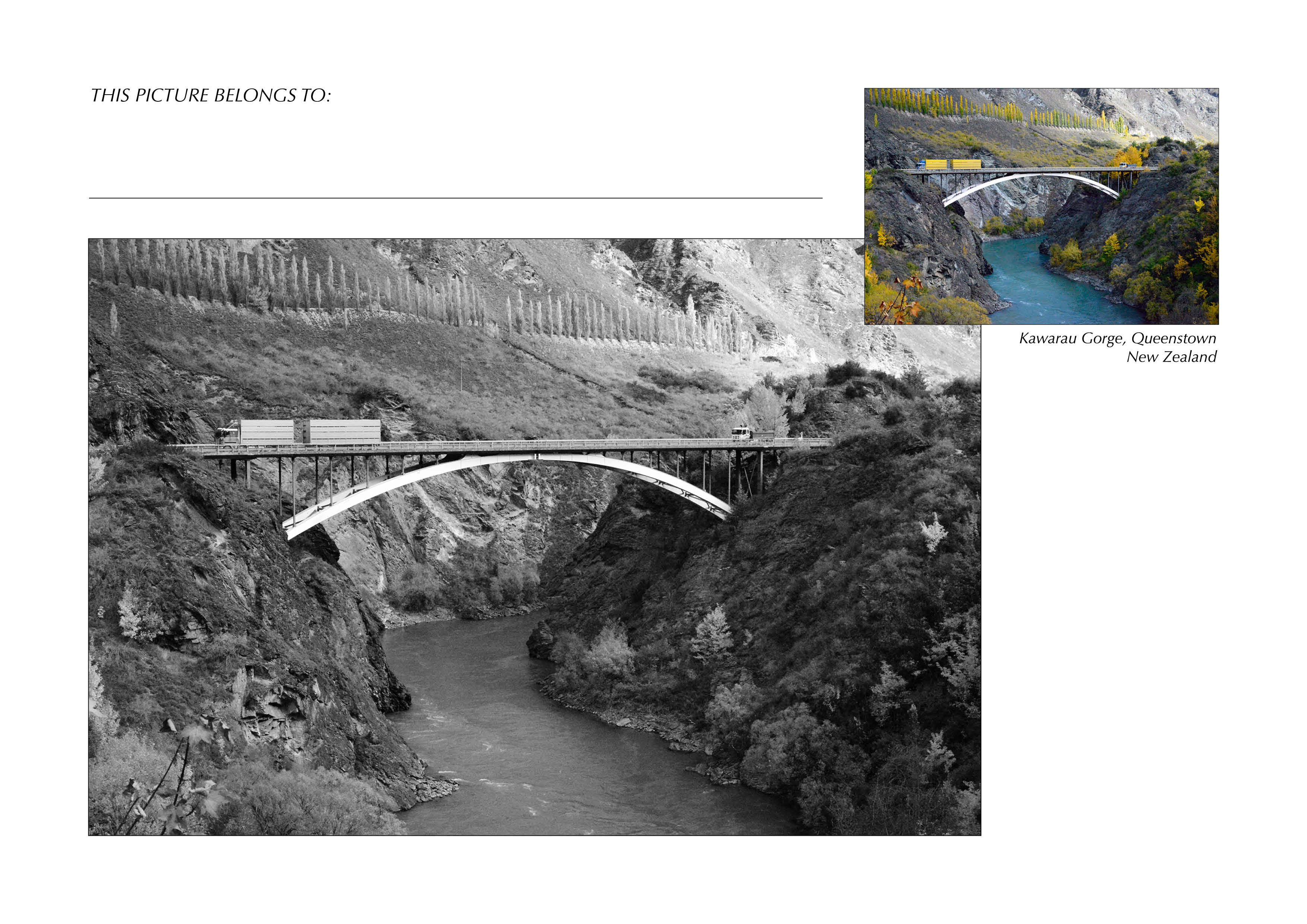Grayscale + Colour