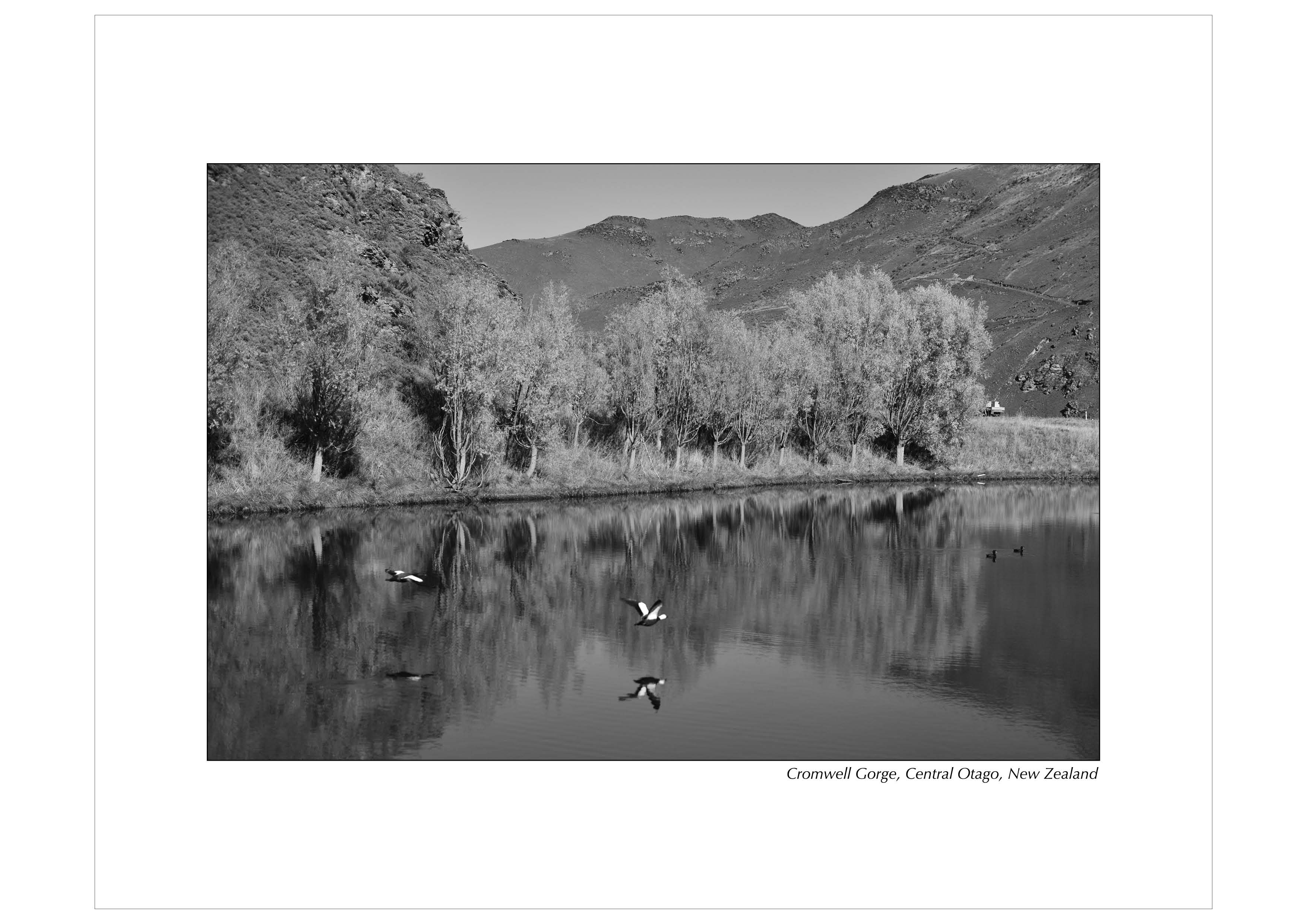 Grayscale