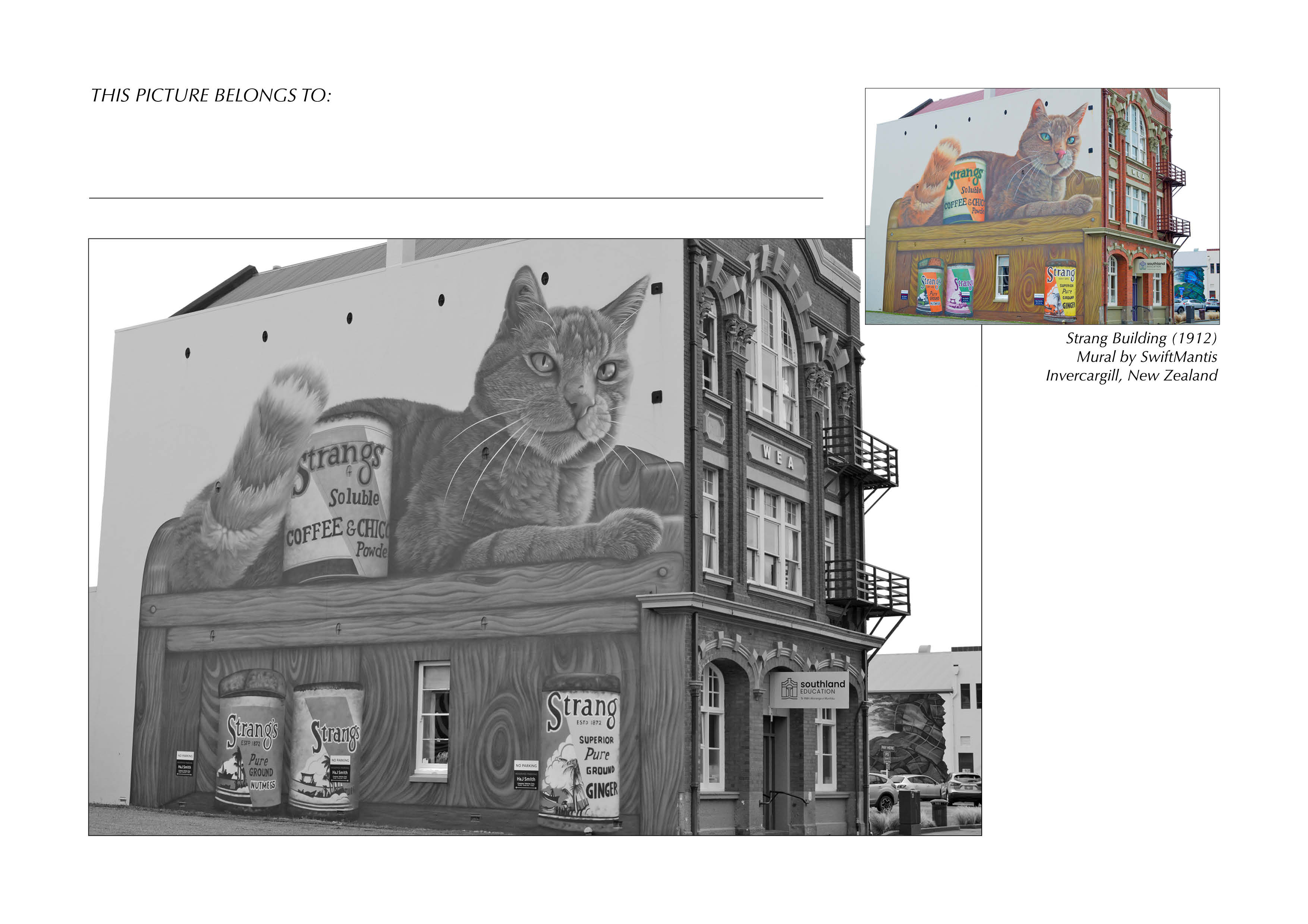 Grayscale + Colour