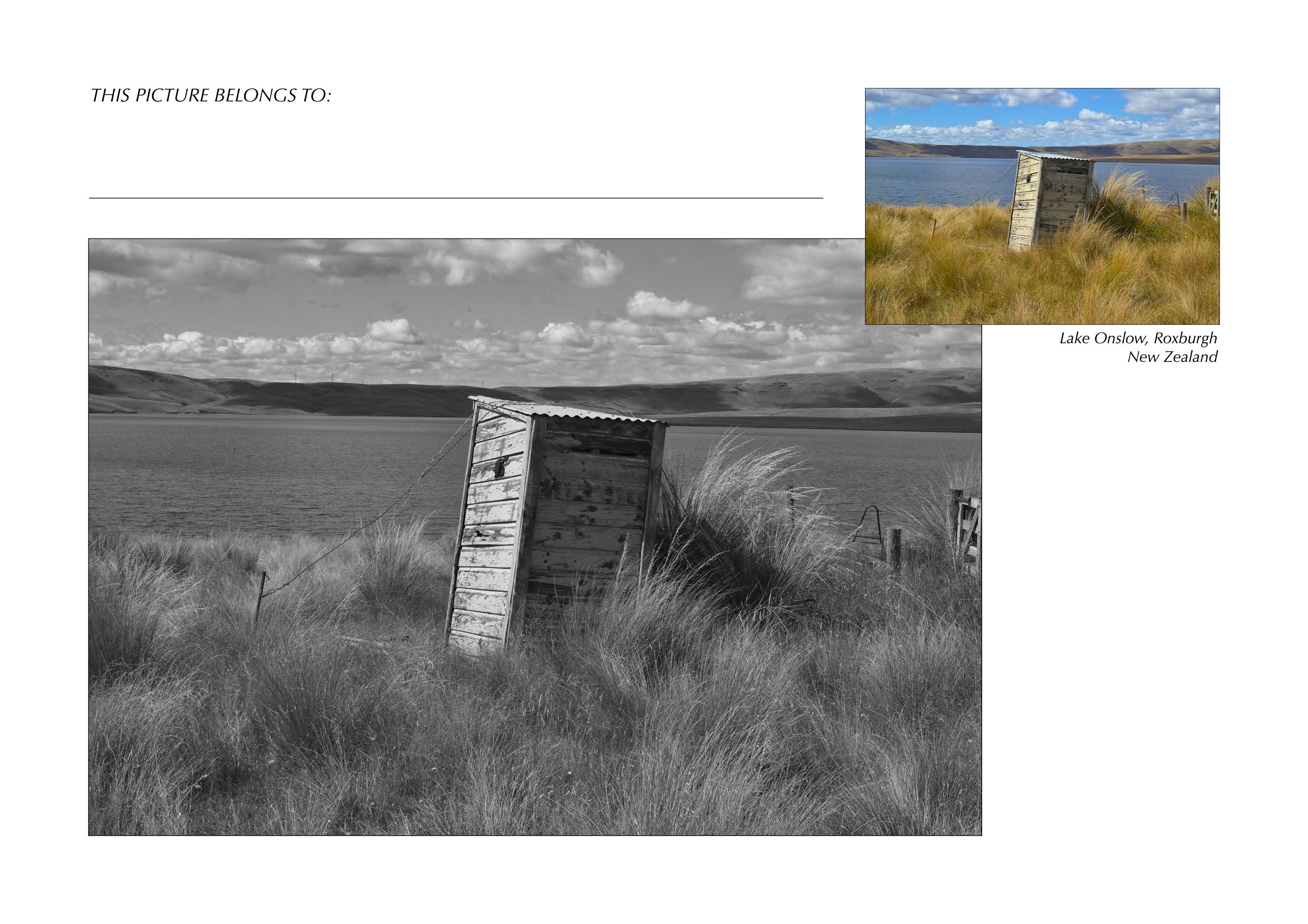 Grayscale + Colour