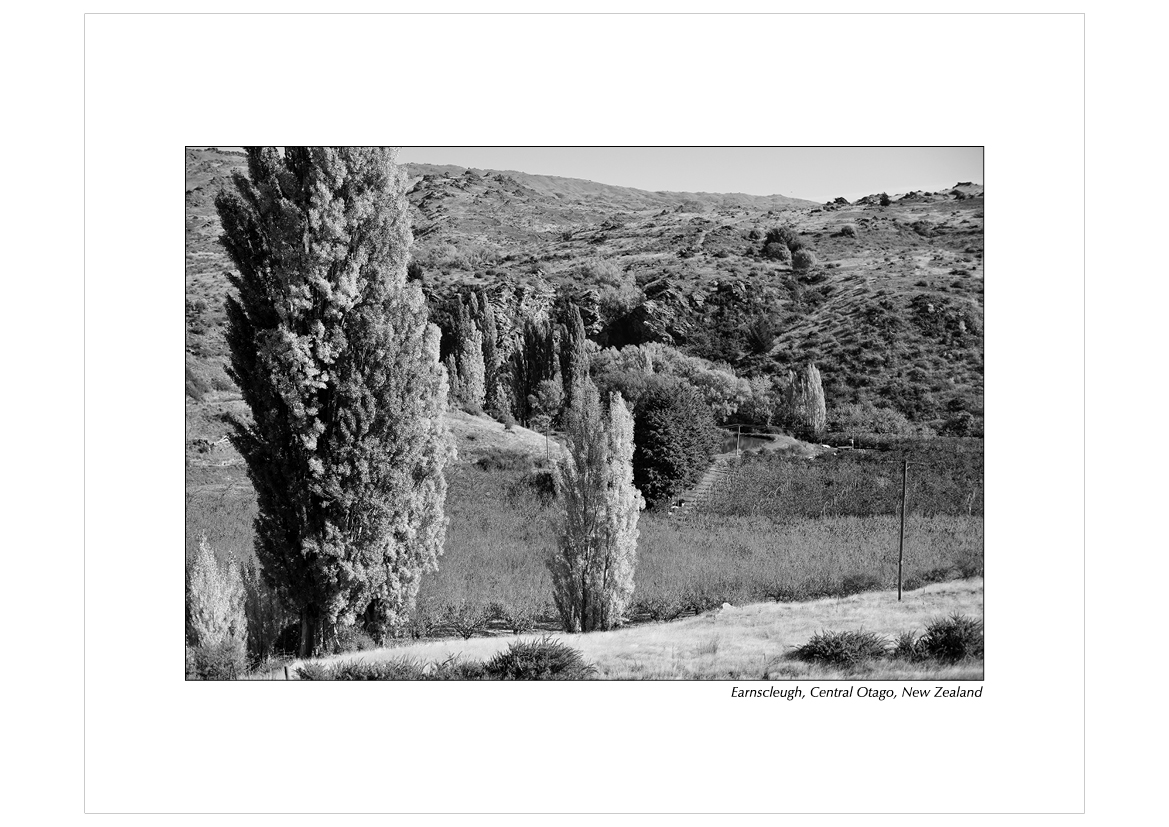 Grayscale