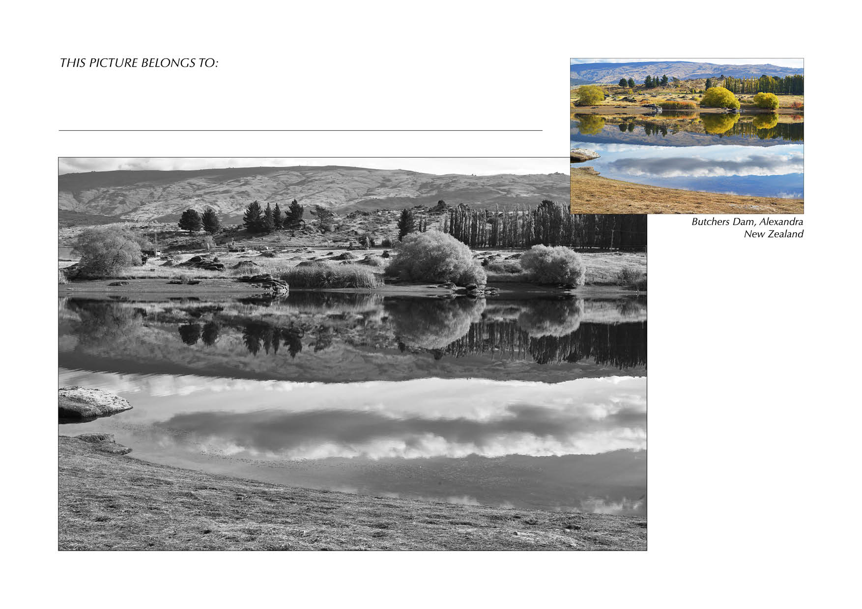 Grayscale + Colour