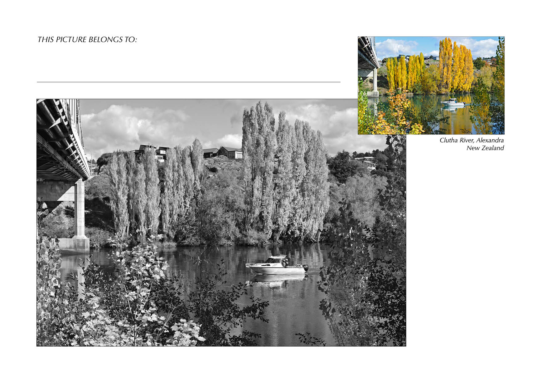 Grayscale + Colour