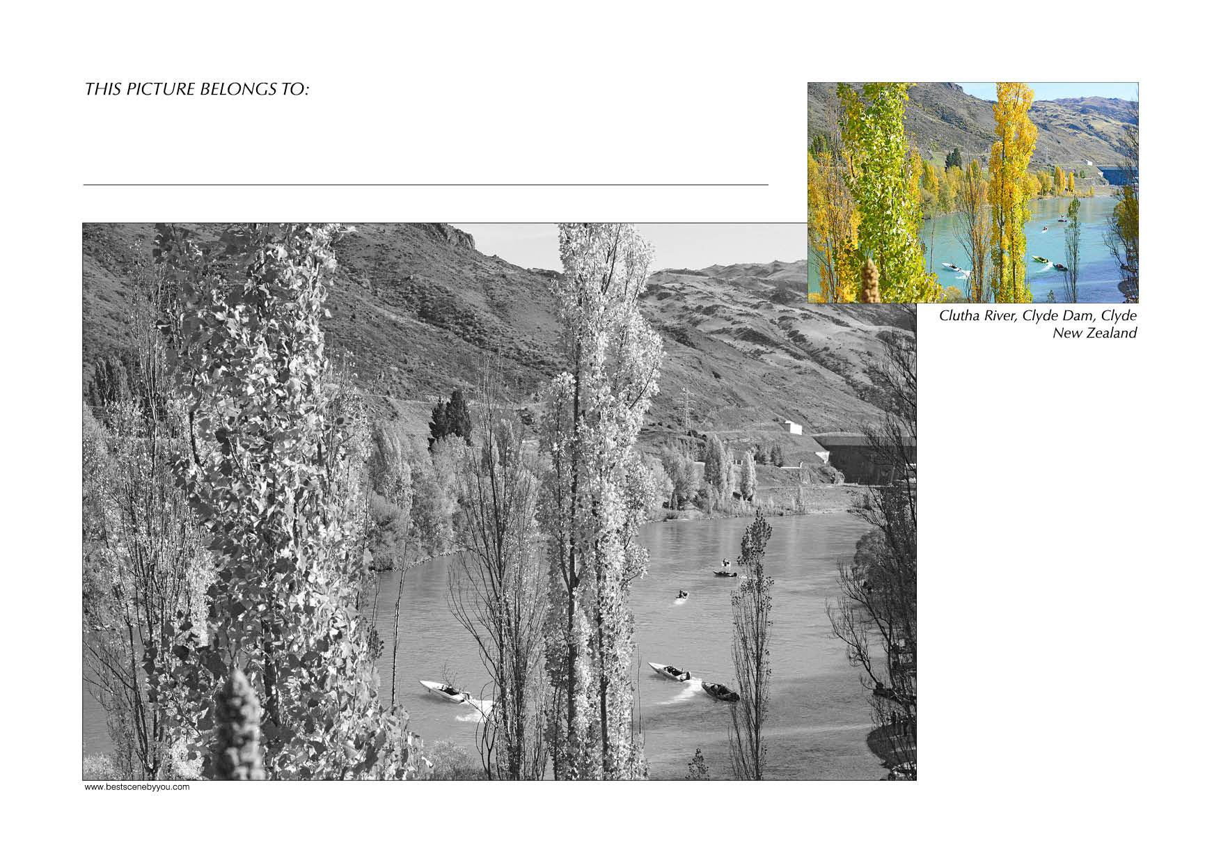 Grayscale + Colour