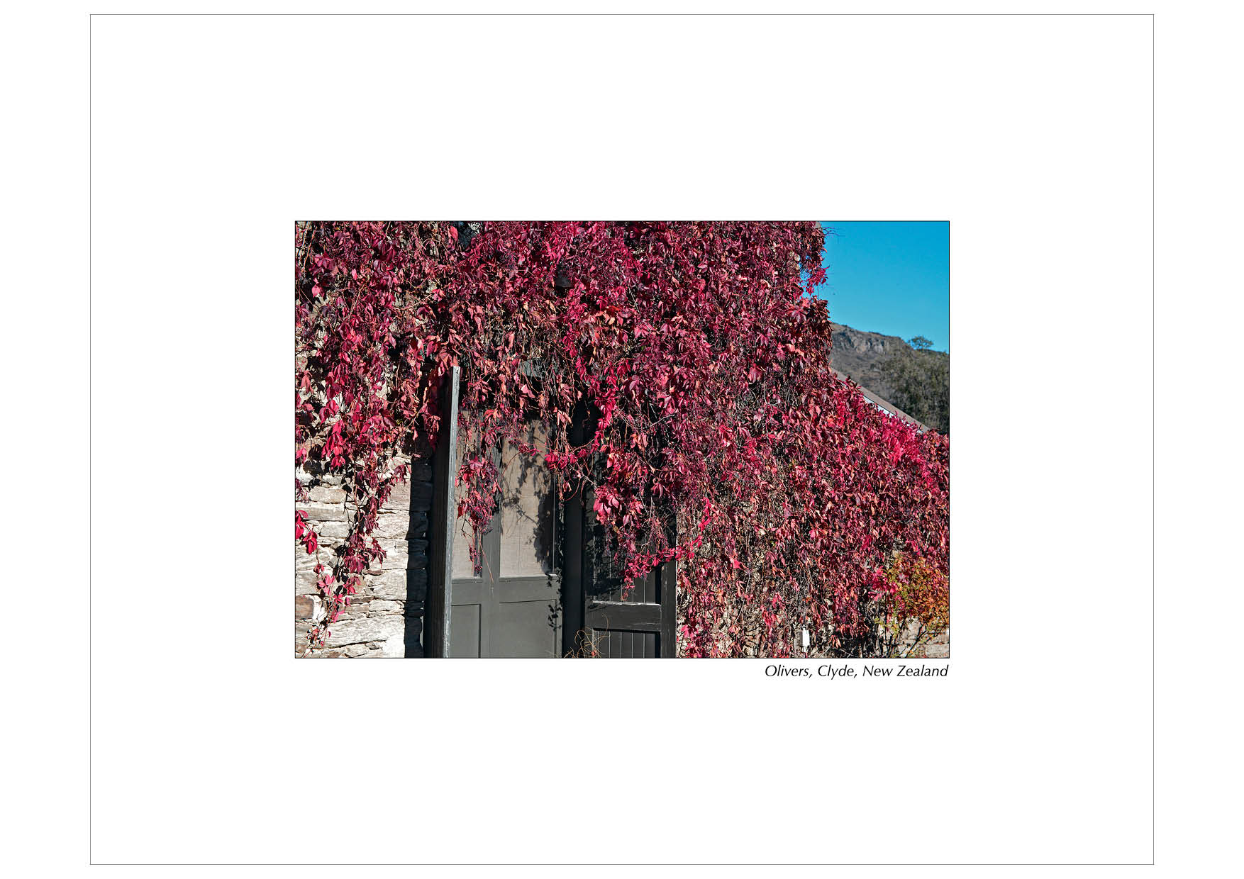 Colour