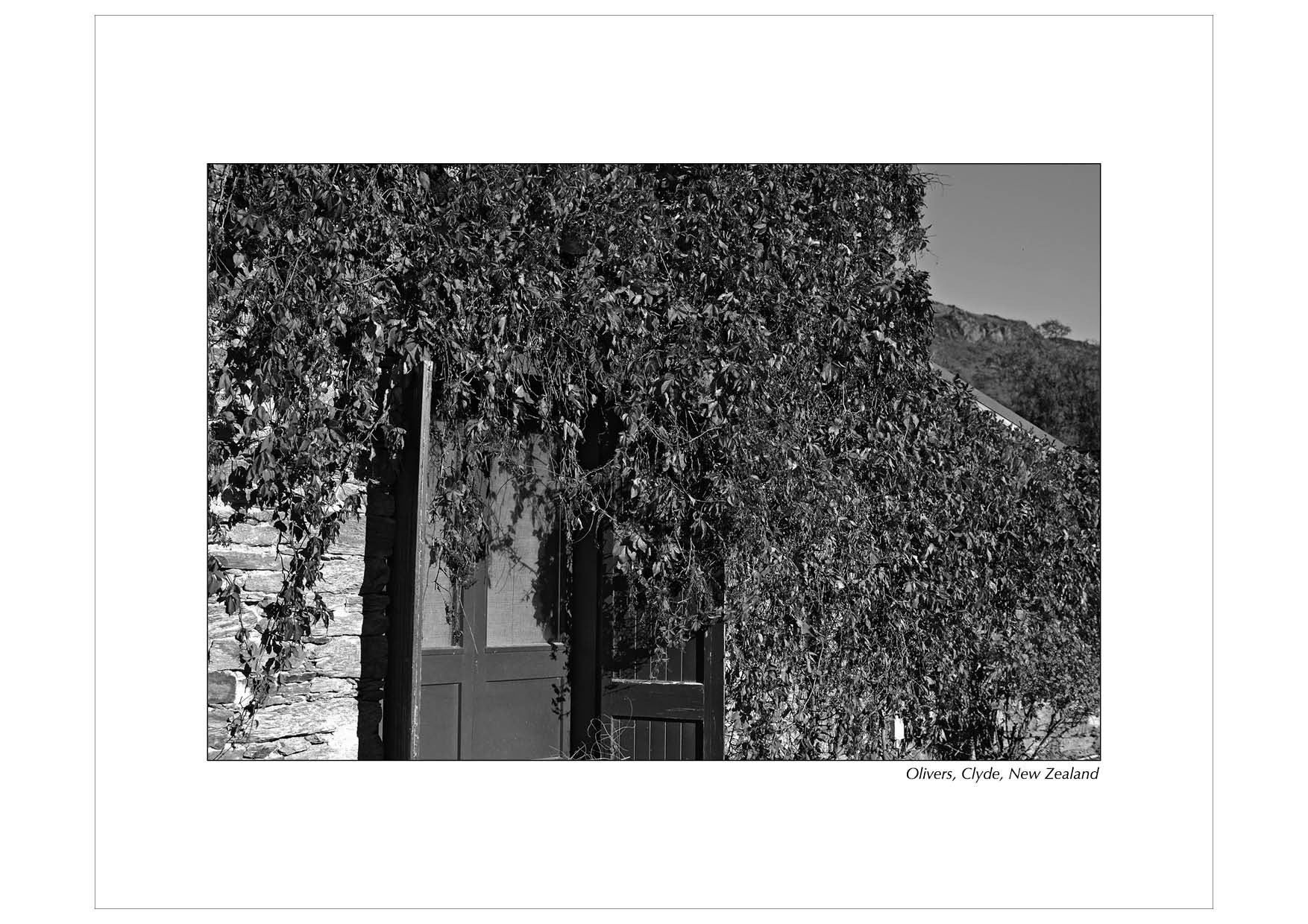 Grayscale
