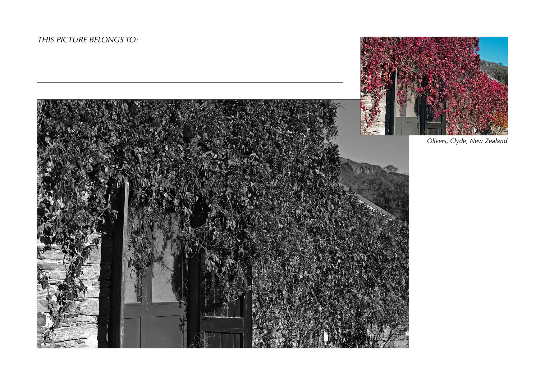 Grayscale + Colour