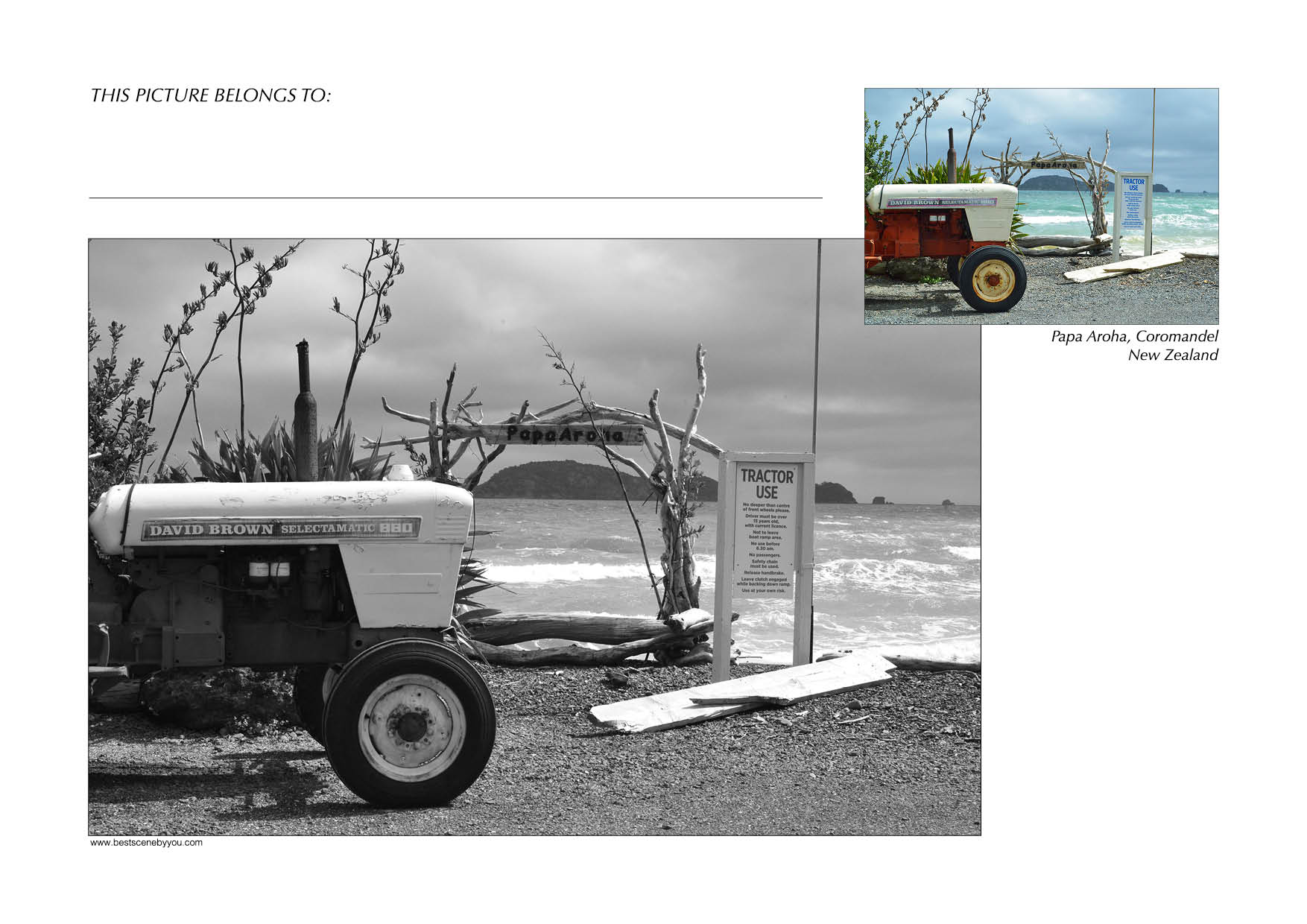 Grayscale + Colour