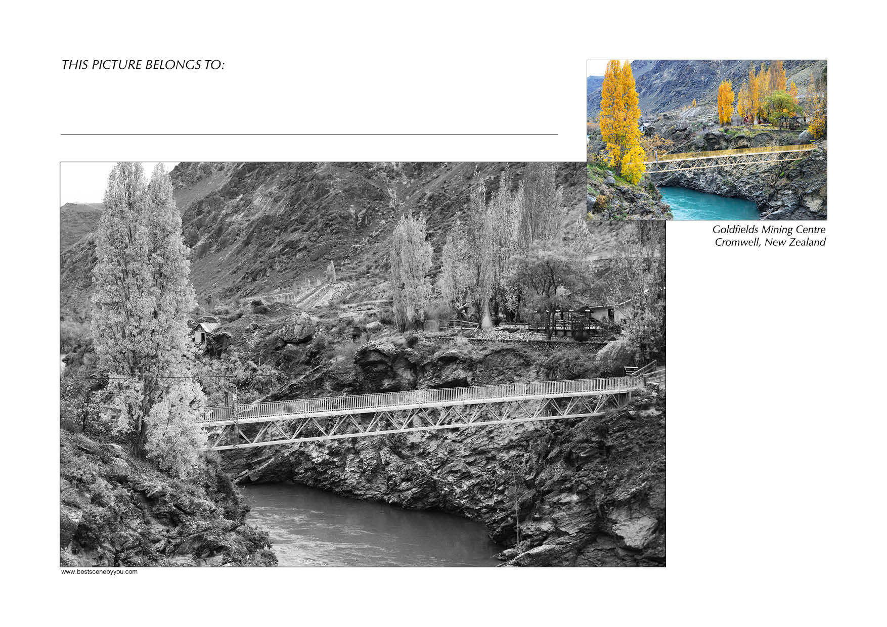 Grayscale + Colour