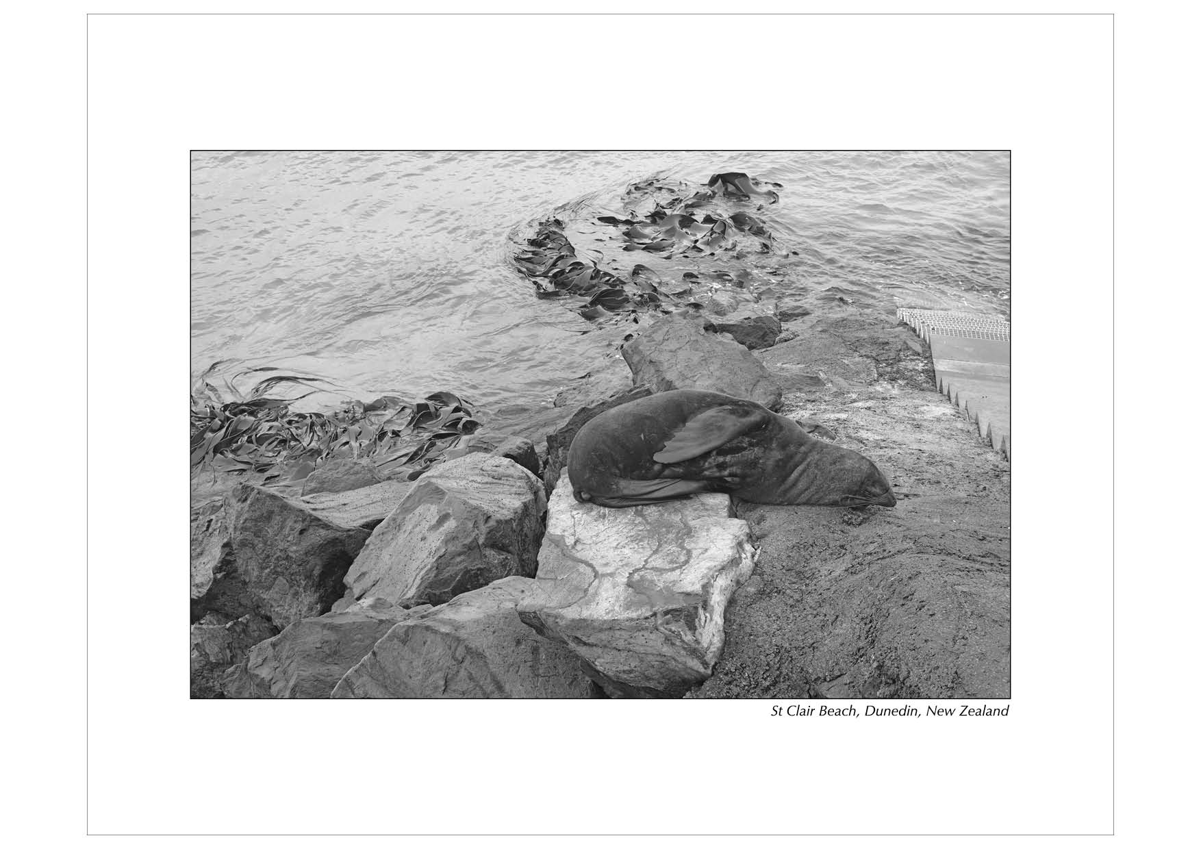 Grayscale