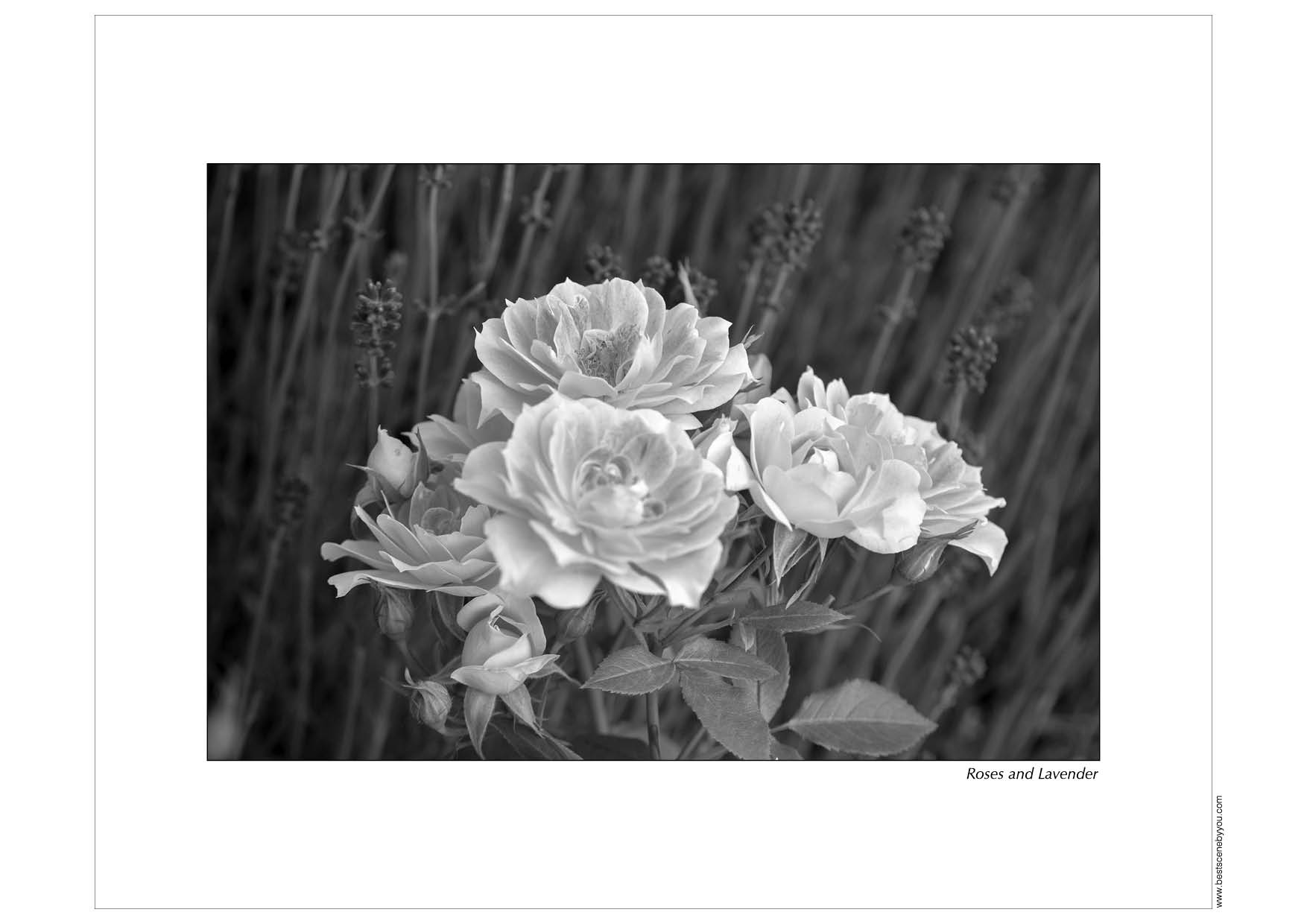 Grayscale