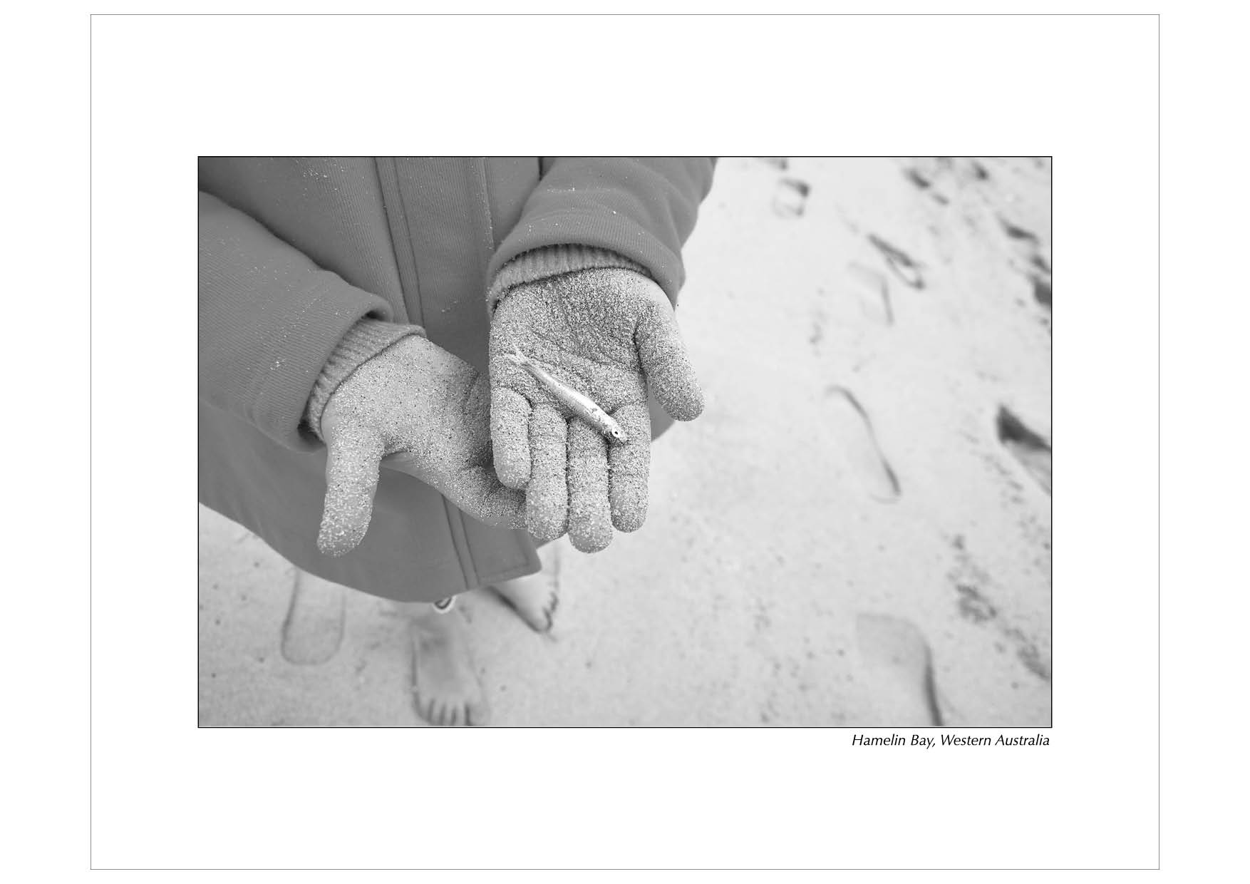 Grayscale