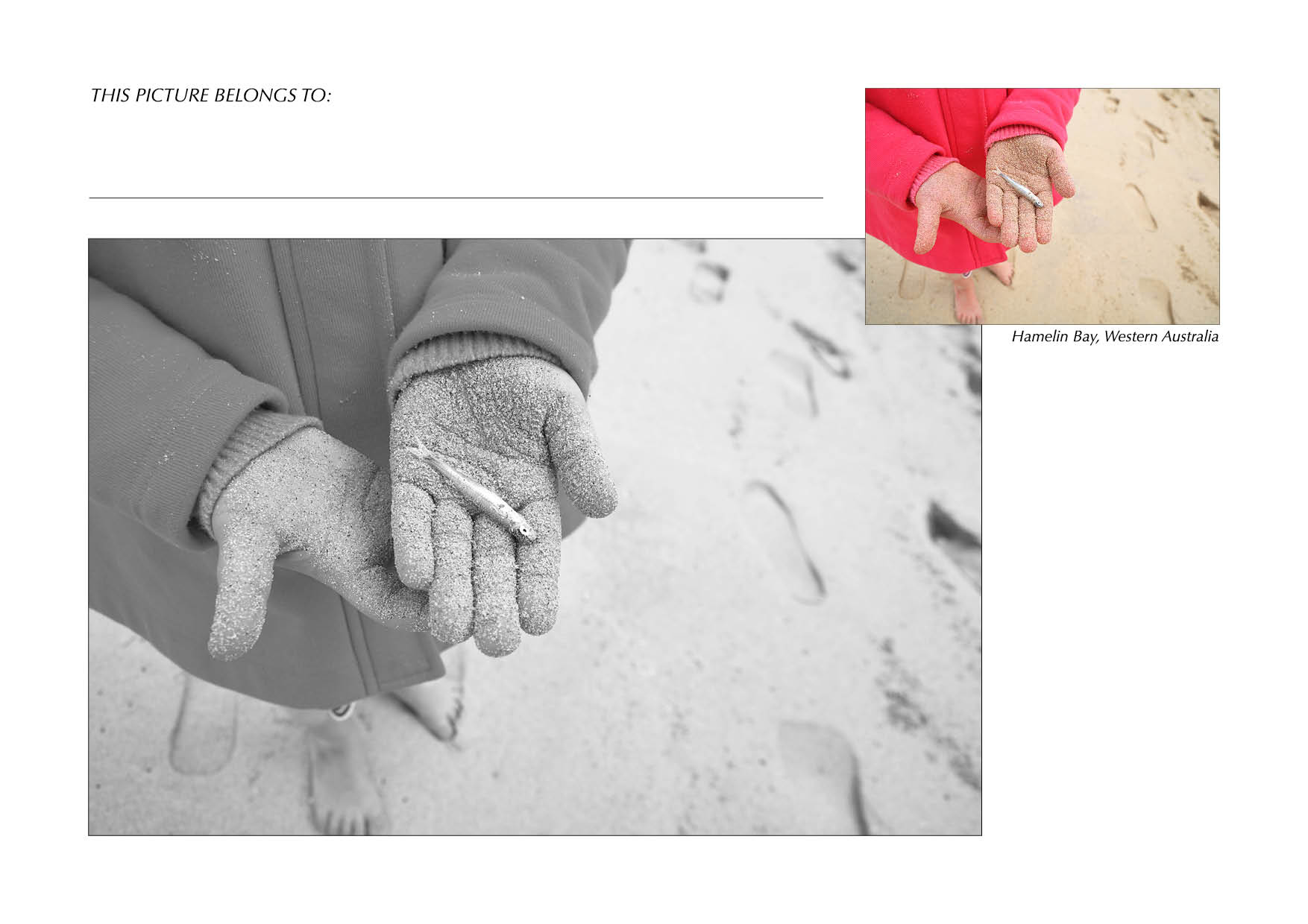 Grayscale + Colour