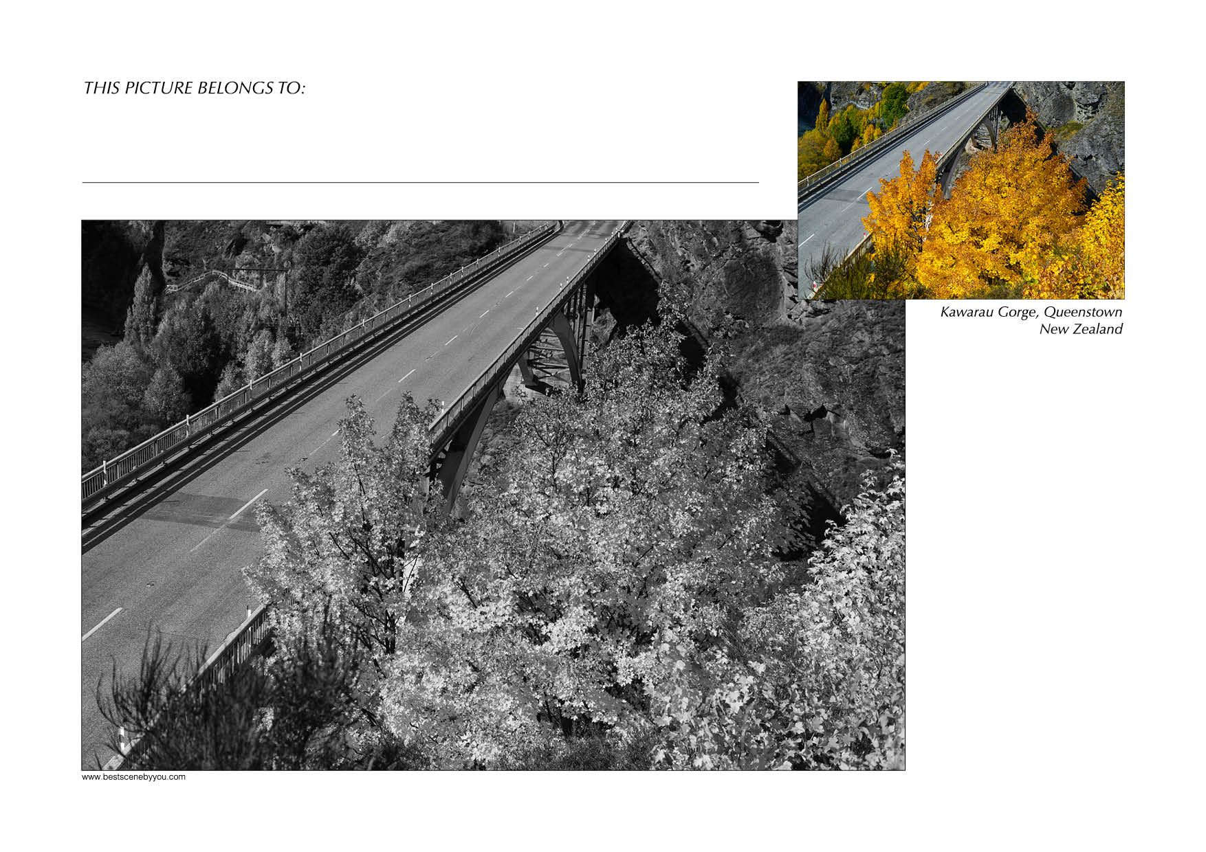 Grayscale + Colour