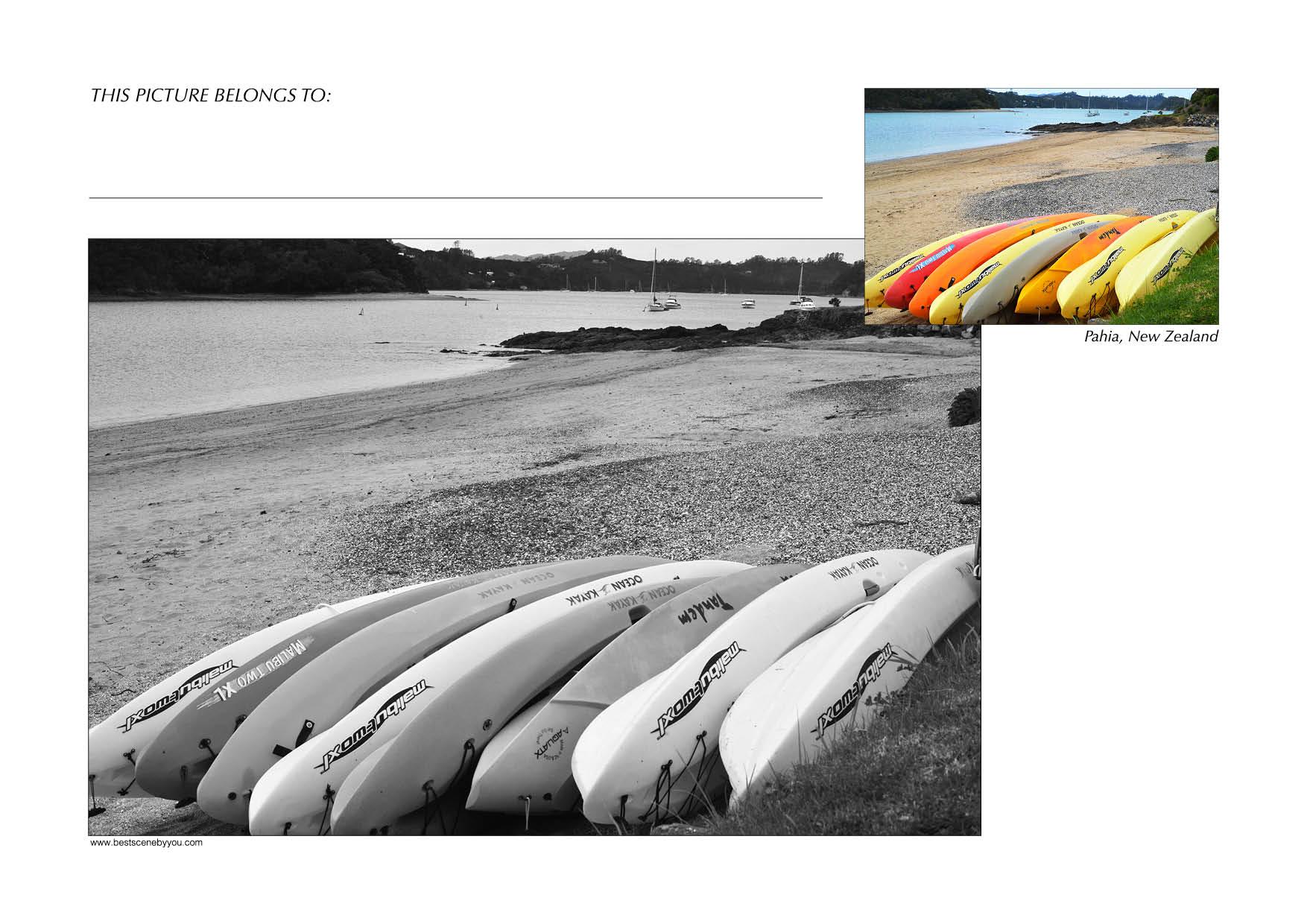 Grayscale + Colour