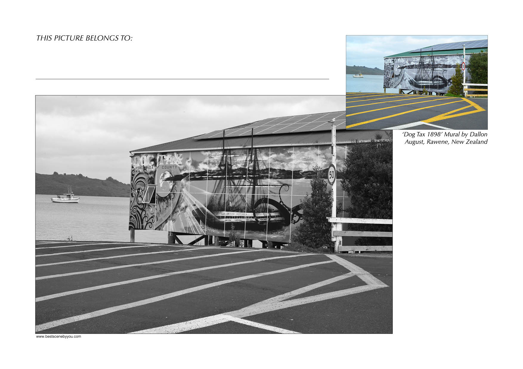 Grayscale + Colour