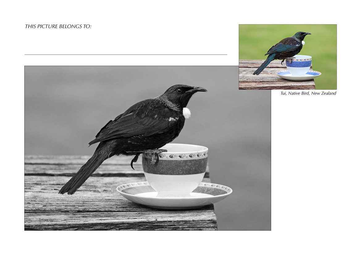 Grayscale + Colour