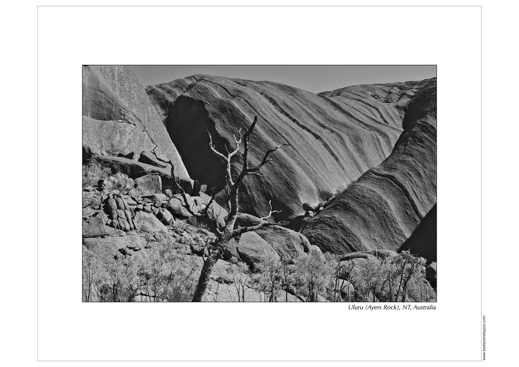Grayscale