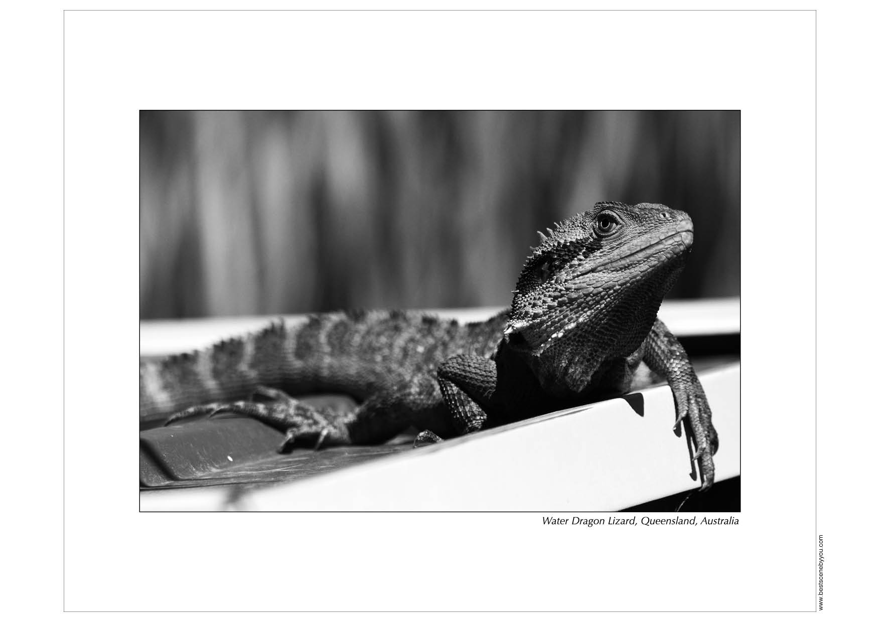 Grayscale