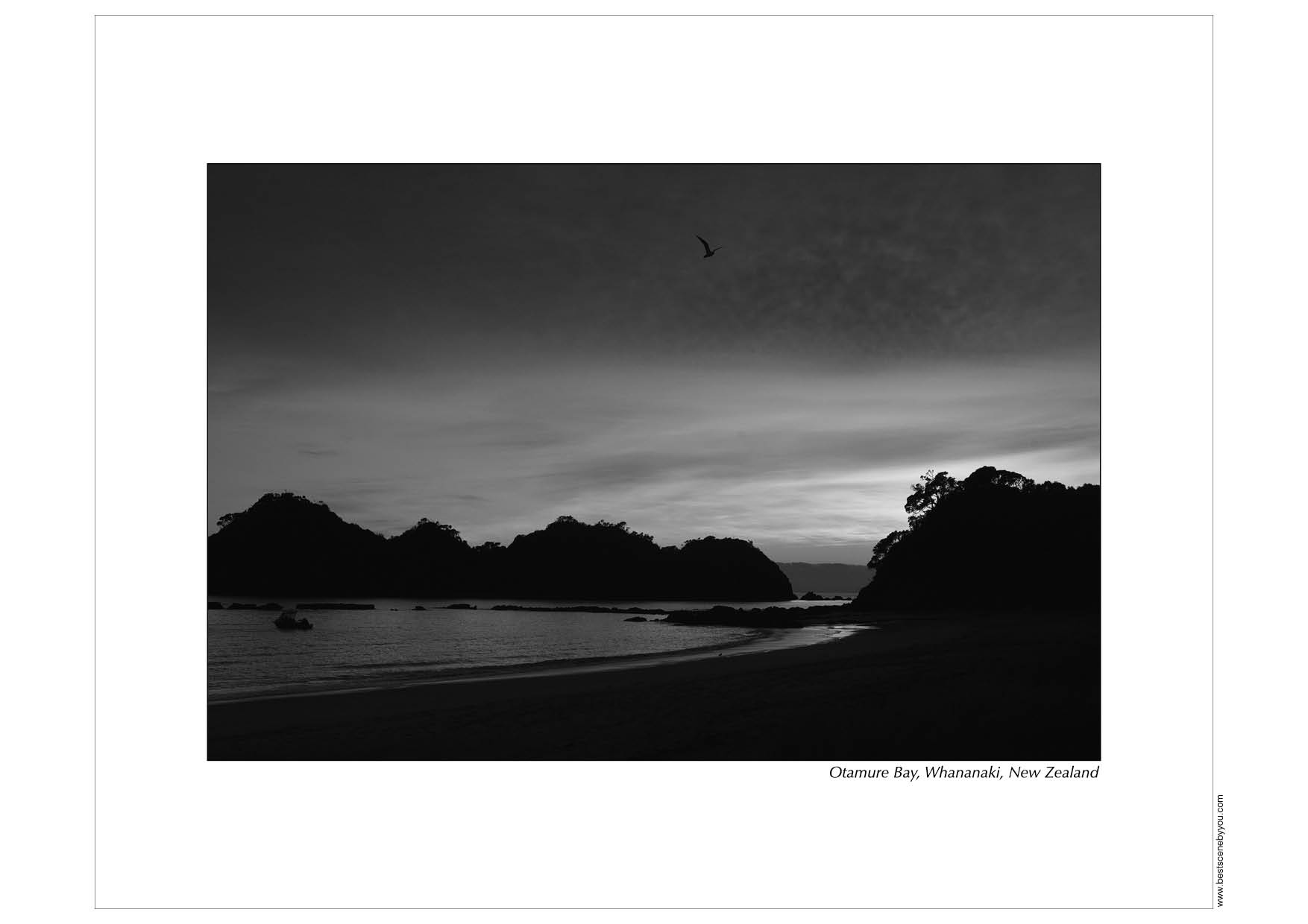 Grayscale