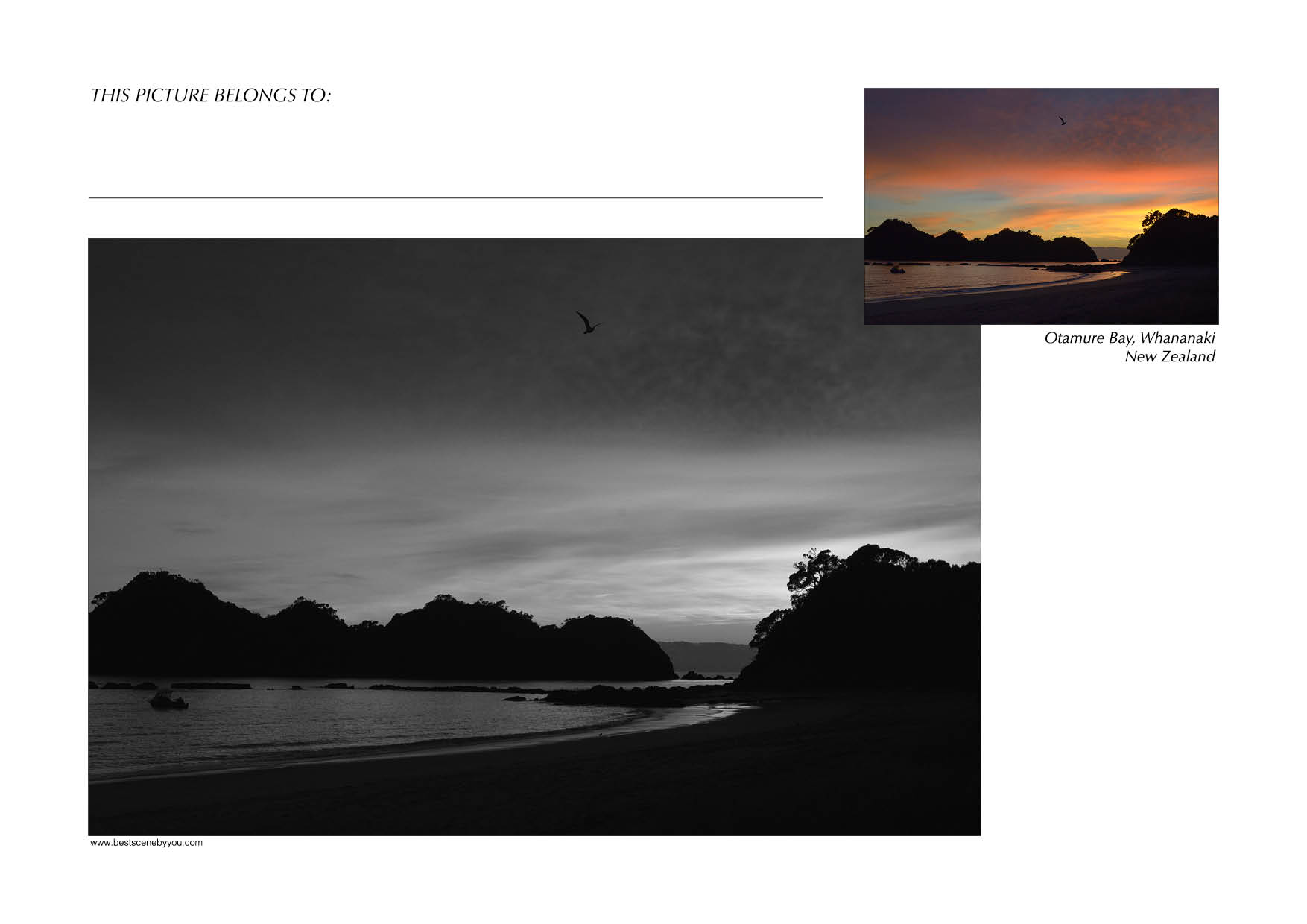 Grayscale + Colour