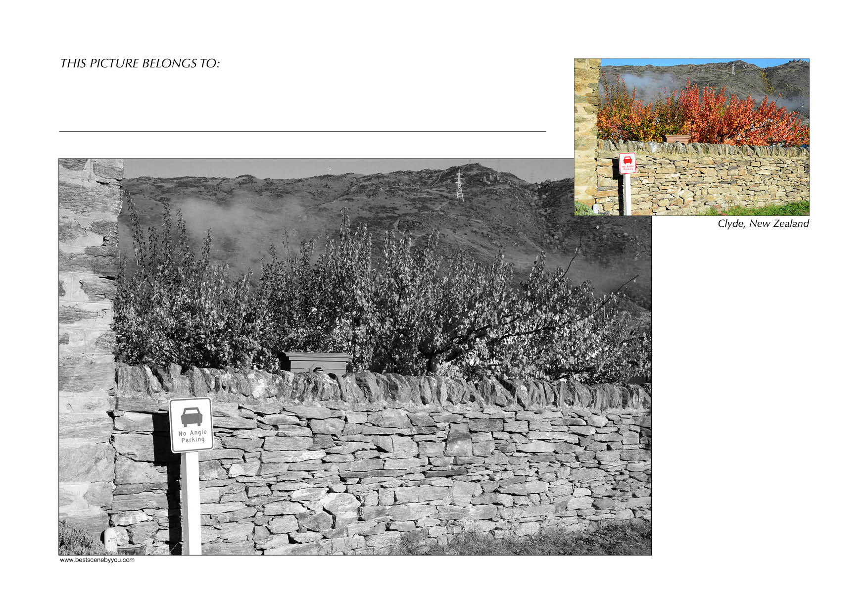 Grayscale + Colour