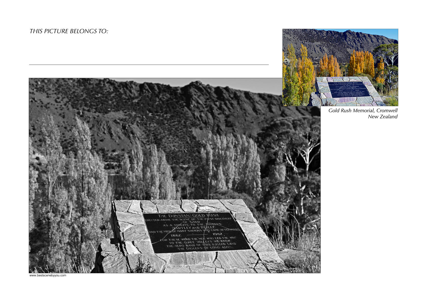 Grayscale + Colour