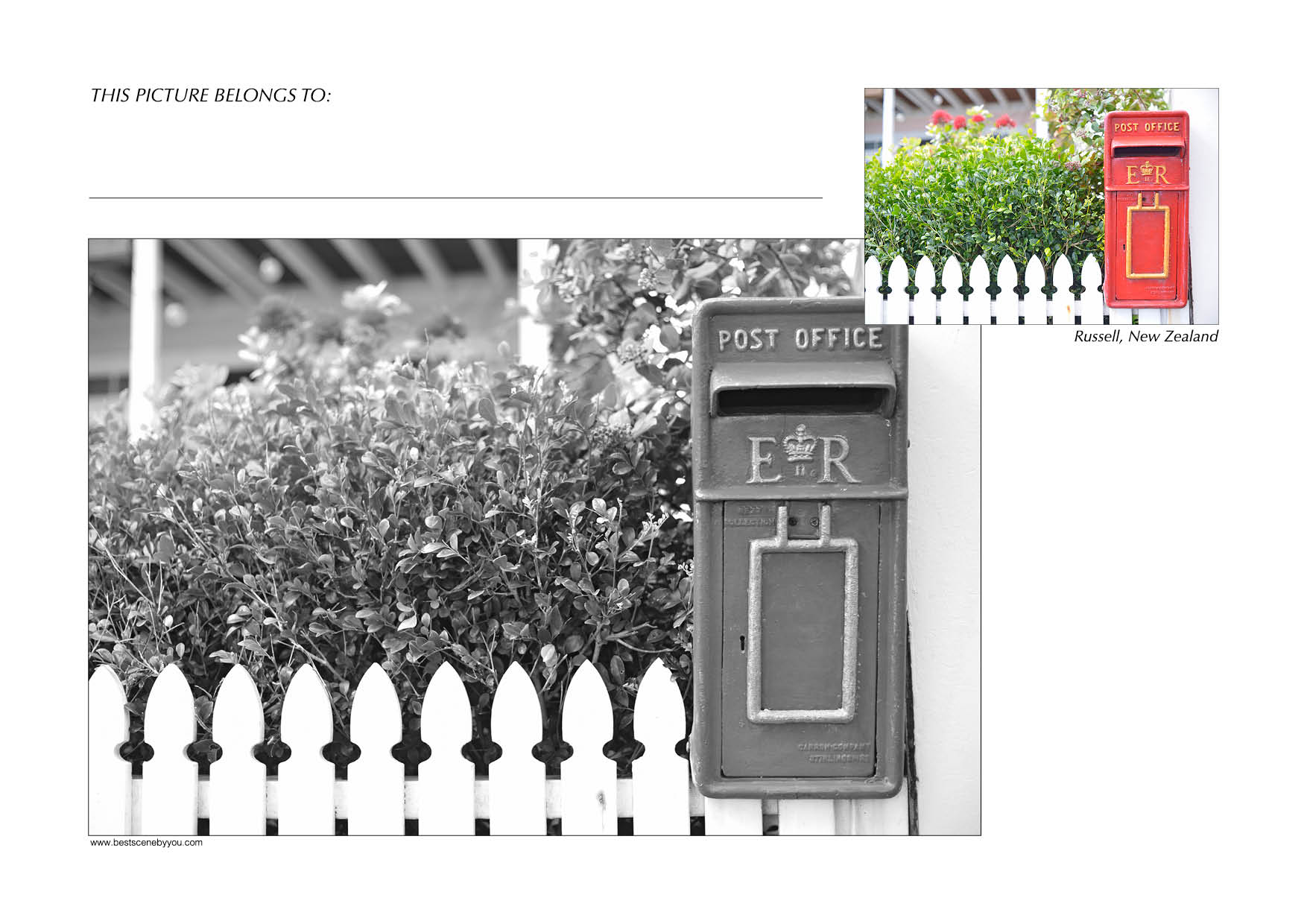Grayscale + Colour